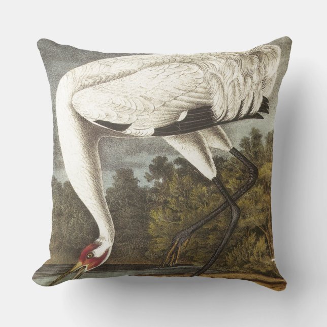 Coussin Grue de huée d'Audubon (Recto)
