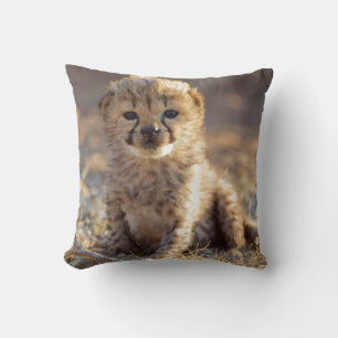 Coussin Guépard 19 jours petit mâle
