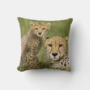 Coussin Guépard, Acinonyx jubatus, avec un petit