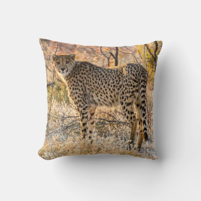 Coussin Guépard regardant autour (Recto)