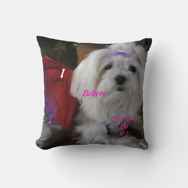 Coussin habillé maltais (Recto)