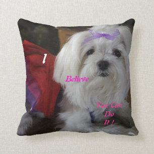 Coussin habillé maltais