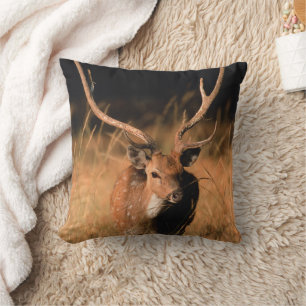 Coussin Habitat naturel du chital Parc national de Bandh
