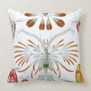 Coussin Haeckel Copepoda