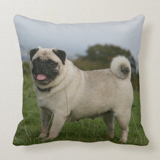 Carlin et Chiot Housse de Coussin 45 cm peinture animaux chien chiot drôle Carlin et Chiot Housse de Coussin 45 cm peinture animaux chien chiot drôle