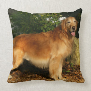 Coussin Halètement de golden retriever