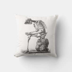 Coussin Halloween squelette assis anatomie