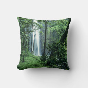 Coussin Hanakapiai tombe le long de la côte de Na Pali, 