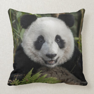 Coussin Happy young panda