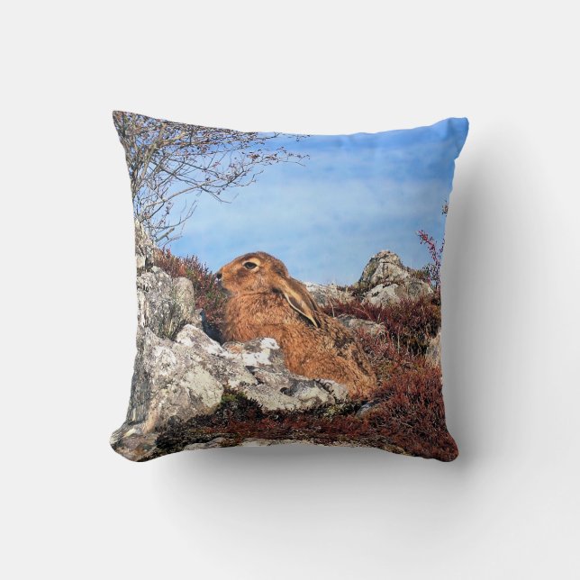COUSSIN HARE (Recto)