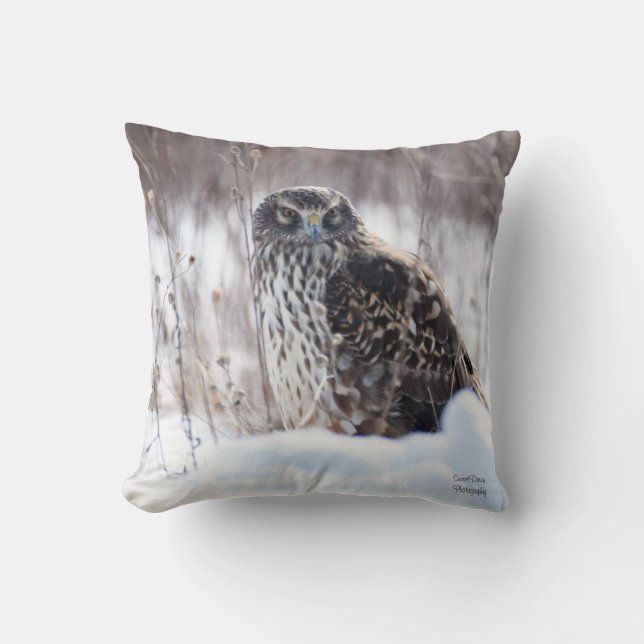 Coussin Harrier du Nord (Recto)