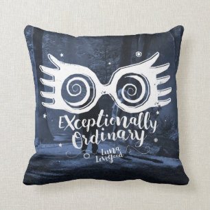 Coussin Harry Potter   particulièrement ordinaire