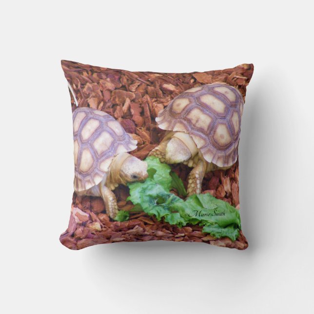 Coussin Hatchlings de tortue de Sulcata (Recto)