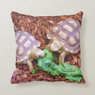 Coussin Hatchlings de tortue de Sulcata