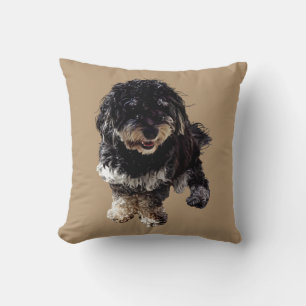 Coussin Havanais