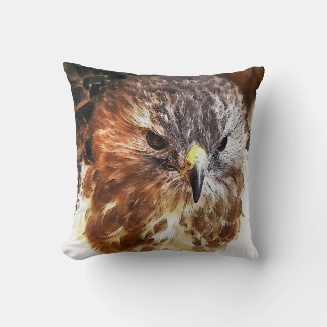 COUSSIN HAWK (Recto)