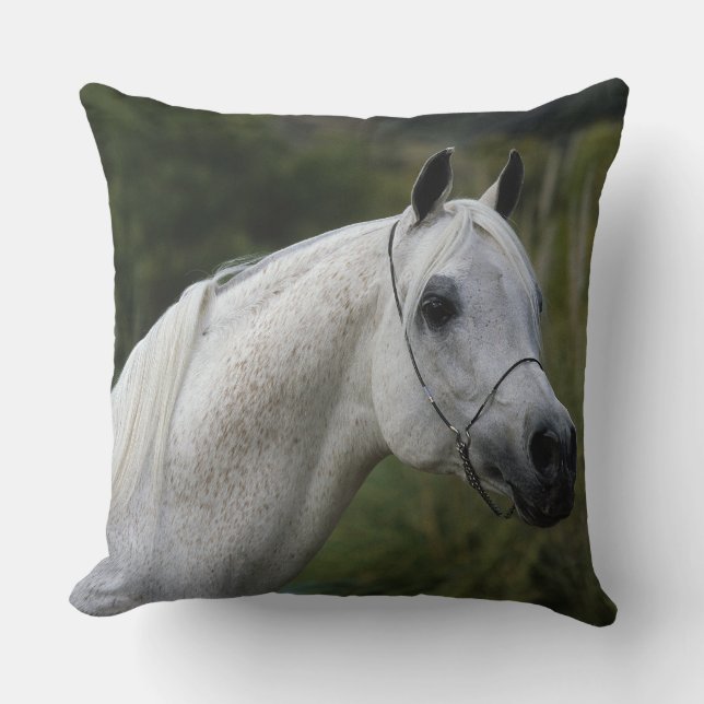 Coussin Headshot arabe 1 de cheval (Recto)