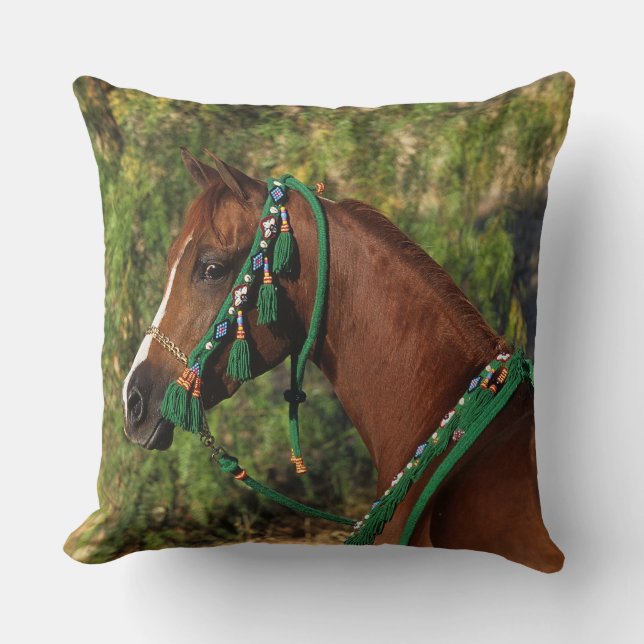 Coussin Headshot arabe de cheval avec le frein (Recto)