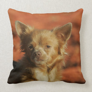 Coussin Headshot de chiot de chiwawa