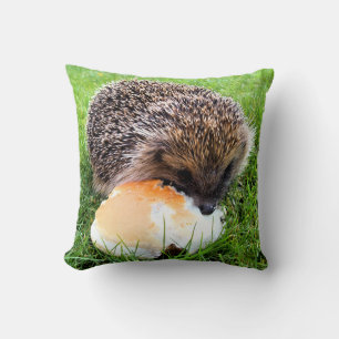 COUSSIN HÉDGEHOG
