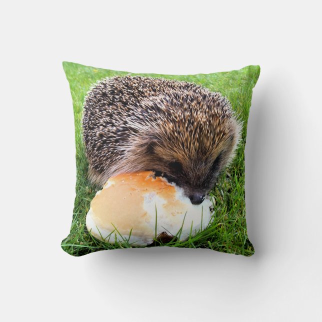 COUSSIN HÉDGEHOG (Recto)