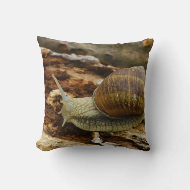 Coussin Hélice romaine Pomatia d'escargot comestible de (Recto)