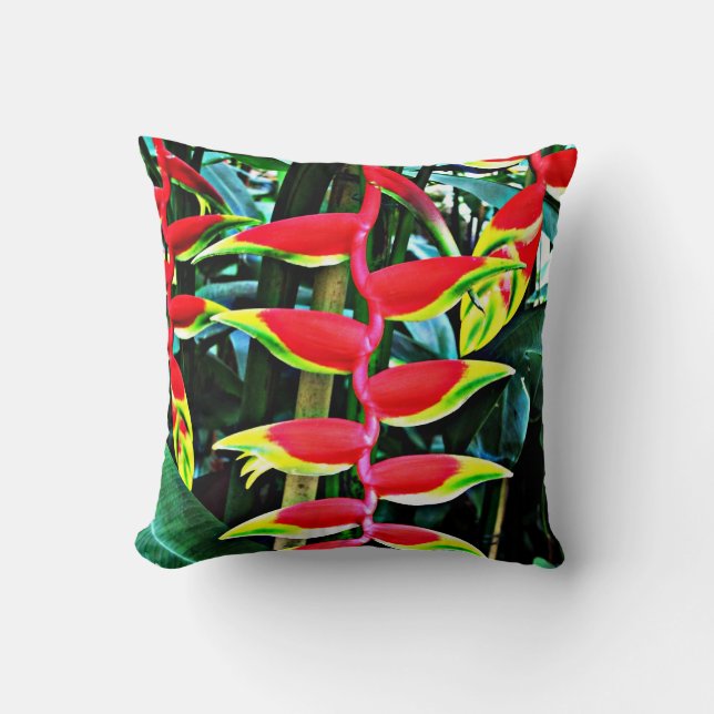 Coussin Heliconia (Recto)