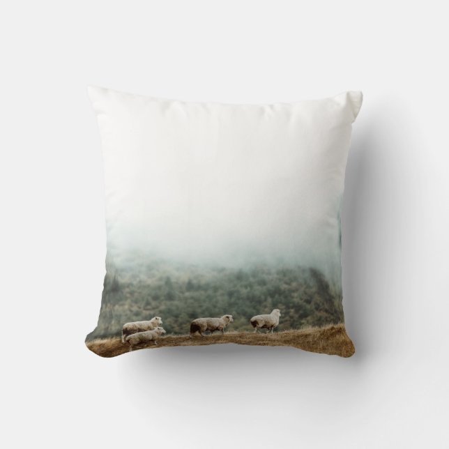 COUSSIN HERBE DE MOUCHE SUR LE CHAMP BROWN EN PLEIN JOUR (Recto)