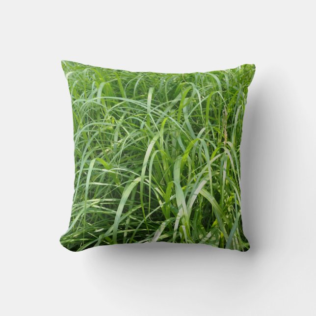 Coussin Herbe verte (Recto)