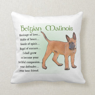 Coussin Héritage de Malinois de Belge de l'amour