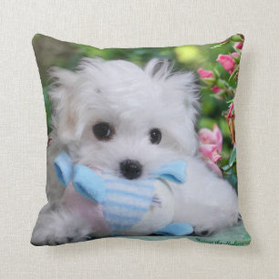 Coussin Hermes le coussin/coussin maltais