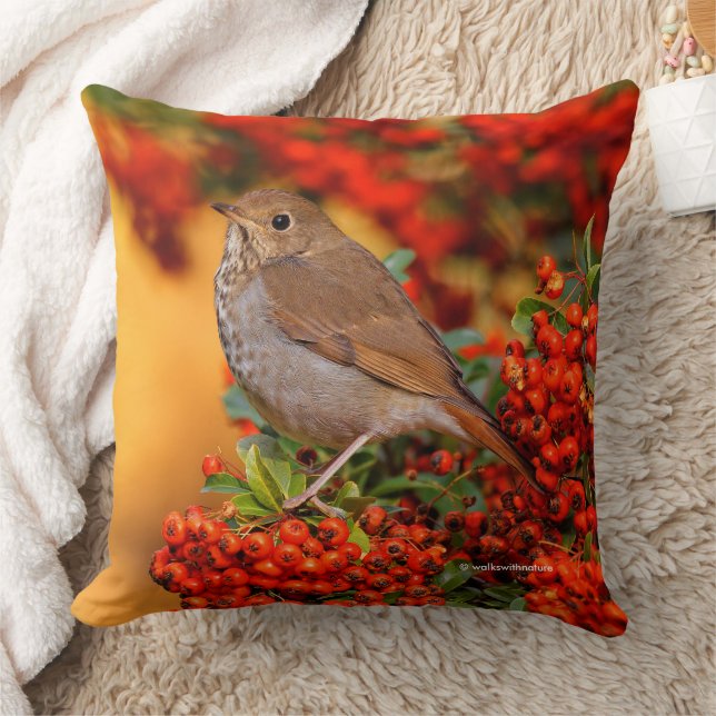 Coussin Hermite Thrush Songbird sur l'araignée de feu (Couverture)