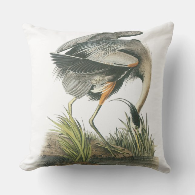 Coussin Héron de grand bleu par Audubon (Recto)