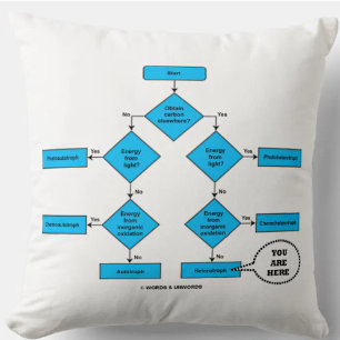 Coussin Hétérotrophe diagramme de flux Vous êtes ici Humou