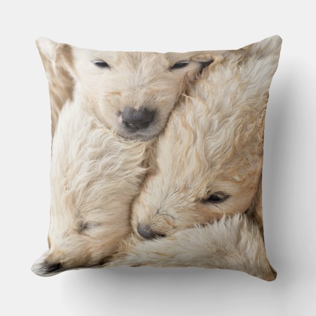 Coussin Heureuse Sainte-Valentin de marionnettes mignonnes (Recto)