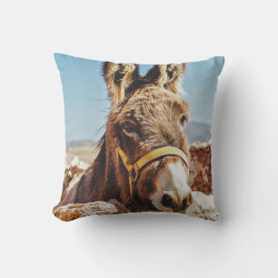 COUSSIN HI DONKEY