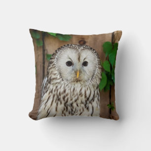 Coussin Hibou barré