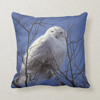 Coussin Hibou de Milou, oiseau blanc contre un ciel bleu