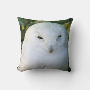 Coussin Hibou des neiges