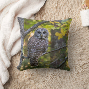 Coussin Hibou moyen-duc en automne Comté d'Alger, MI