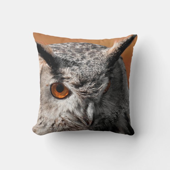 Coussin Hibou Stare (Recto)