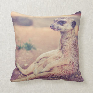 COUSSIN "HIER REPOSENT EK "