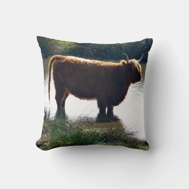 Coussin Highland Cattle (Recto)