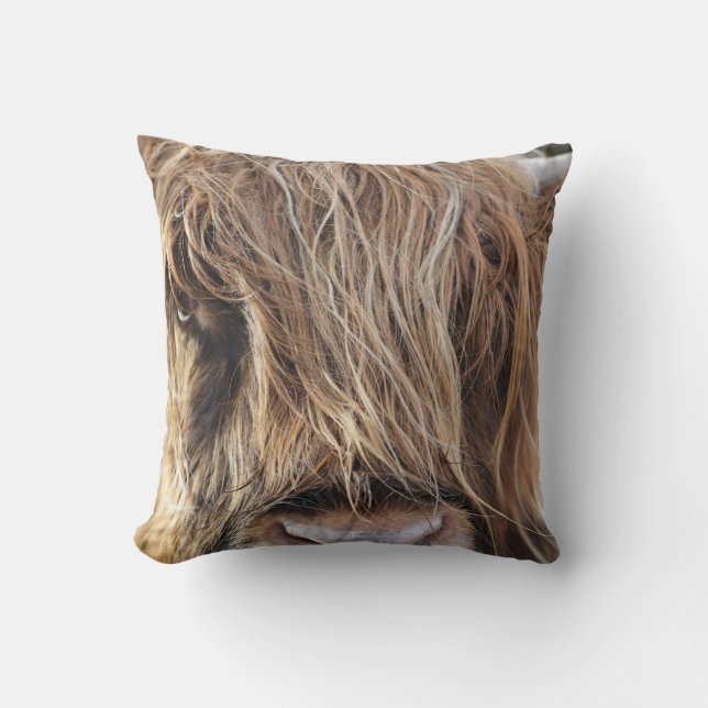 COUSSIN HIGHLAND CHÂTEAU VACHE FACE (Recto)