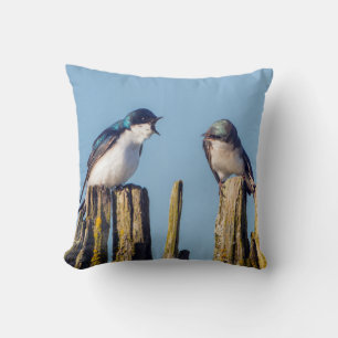 Coussin Hirondelle bicolore mâle et femelle