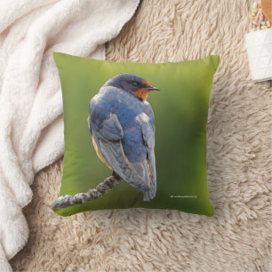 Coussin Hirondelle de grange sur une branche