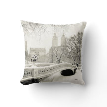 Hiver de Central Park - neige sur le pont d'arc