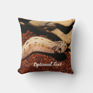 Coussin Hognose Pet Snack