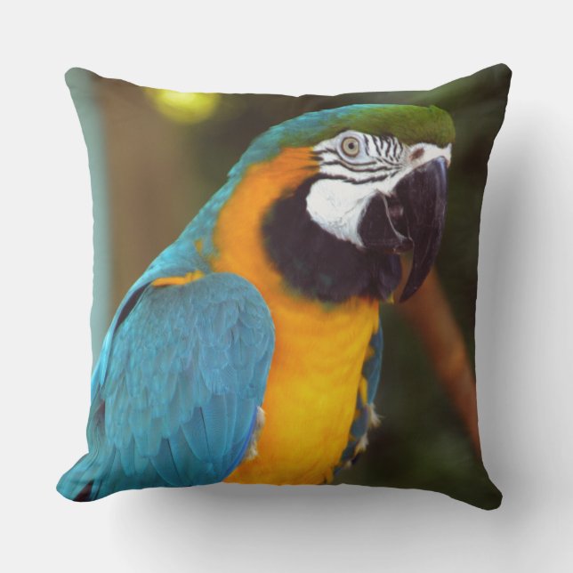 Coussin Homme Macaw (Recto)