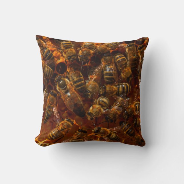 COUSSIN HONEYBEES 7 (Recto)